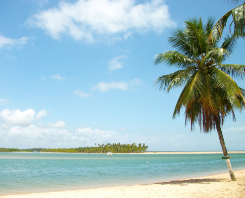 Tinharé tourisme responsable avec une agence francophone île de Boipeba